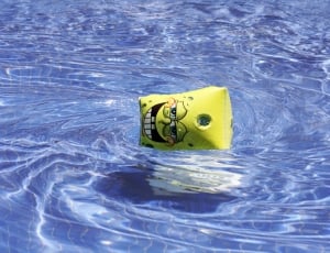 photo of Spongebob toy on water thumbnail