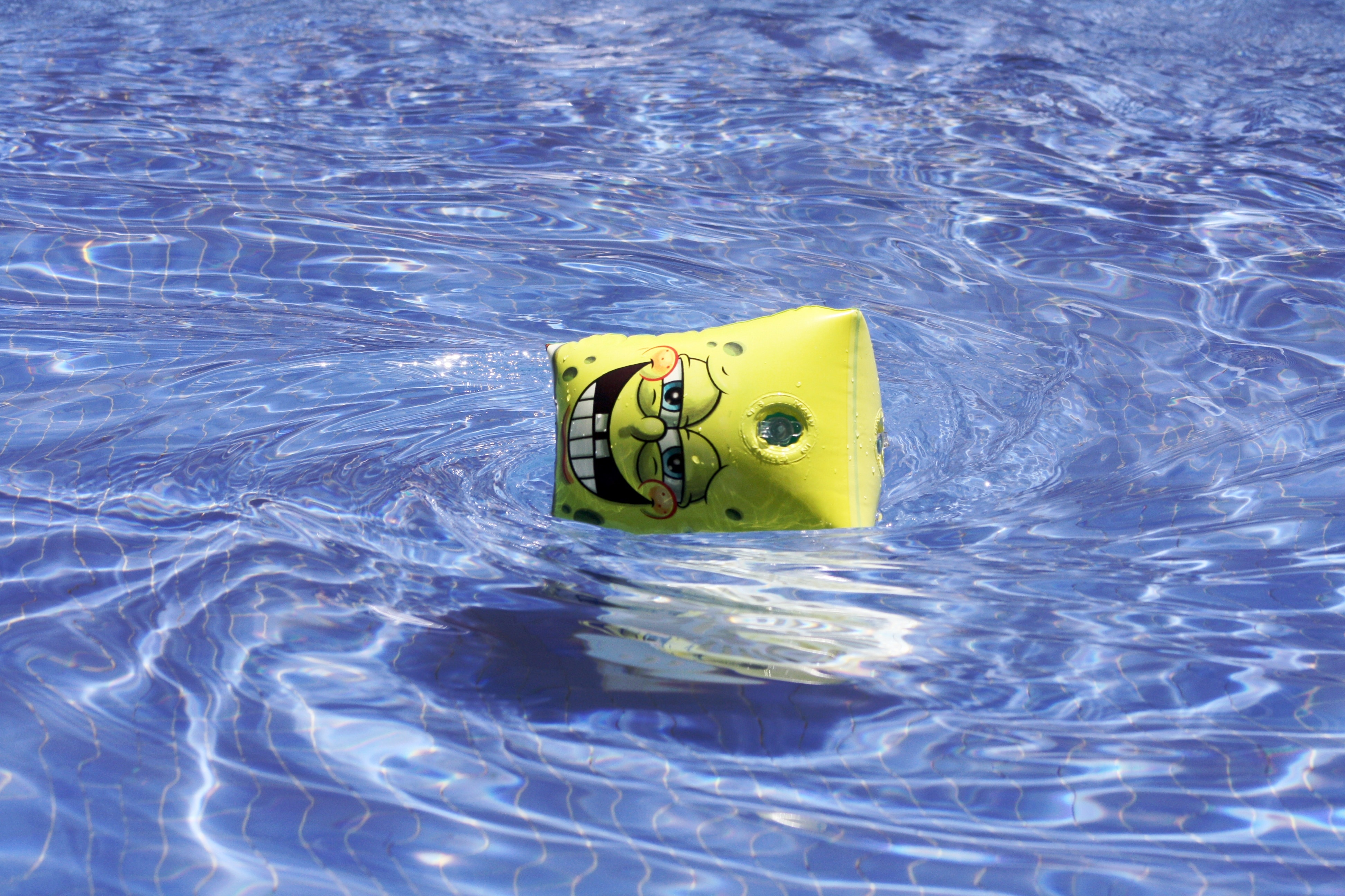 photo of Spongebob toy on water