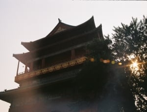 high rise pagoda near a tree thumbnail