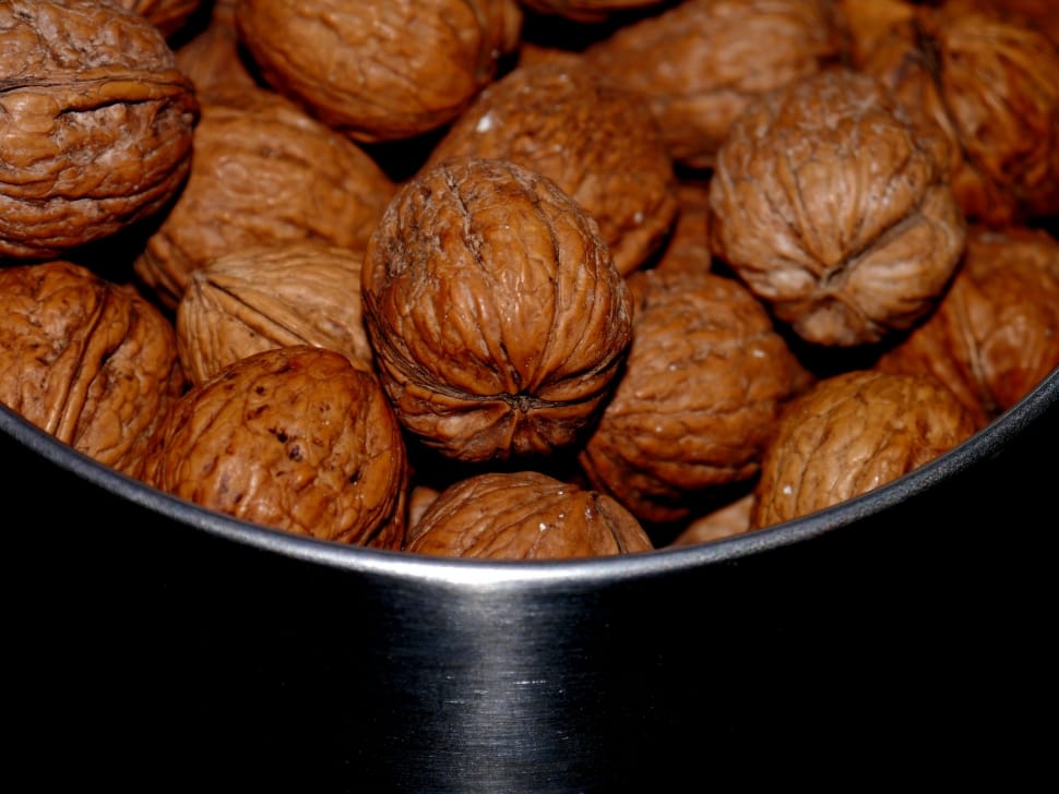 wall nuts preview