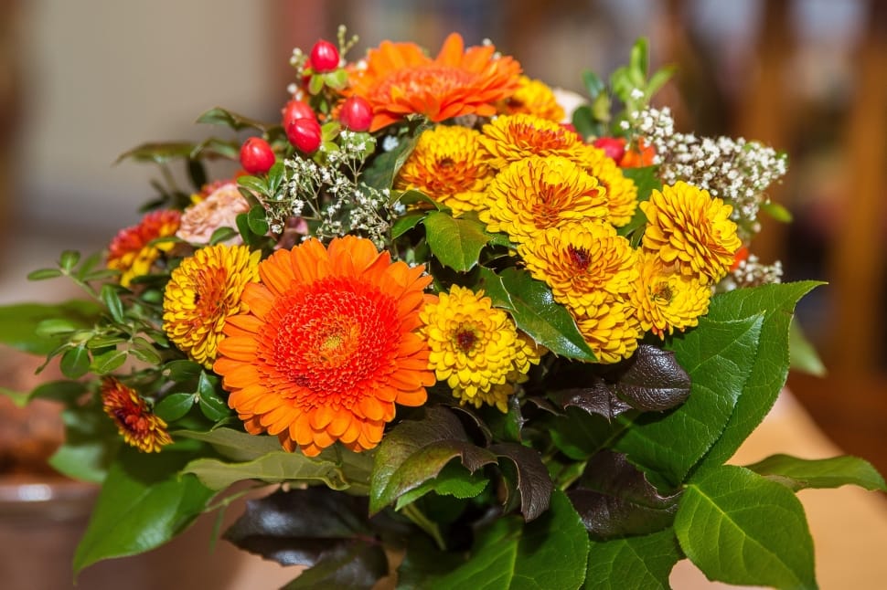 orange yellow and white flowers preview