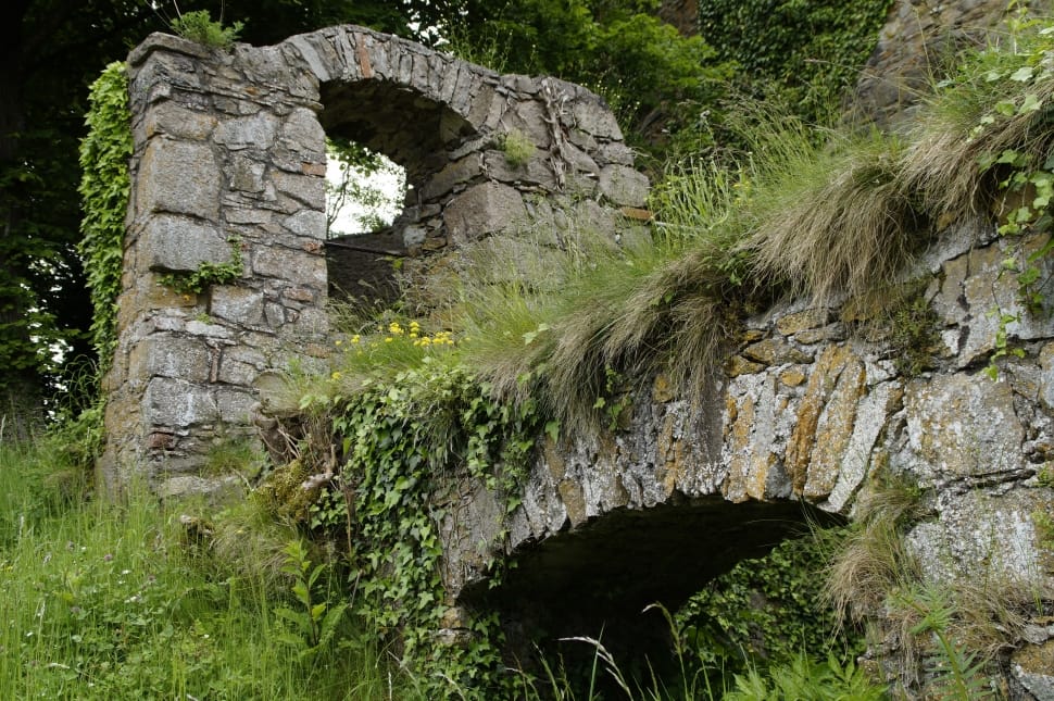 concrete bridge covered with grass preview