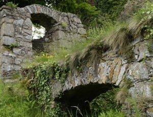 concrete bridge covered with grass thumbnail