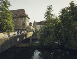 people in the bridge by water with green trees thumbnail