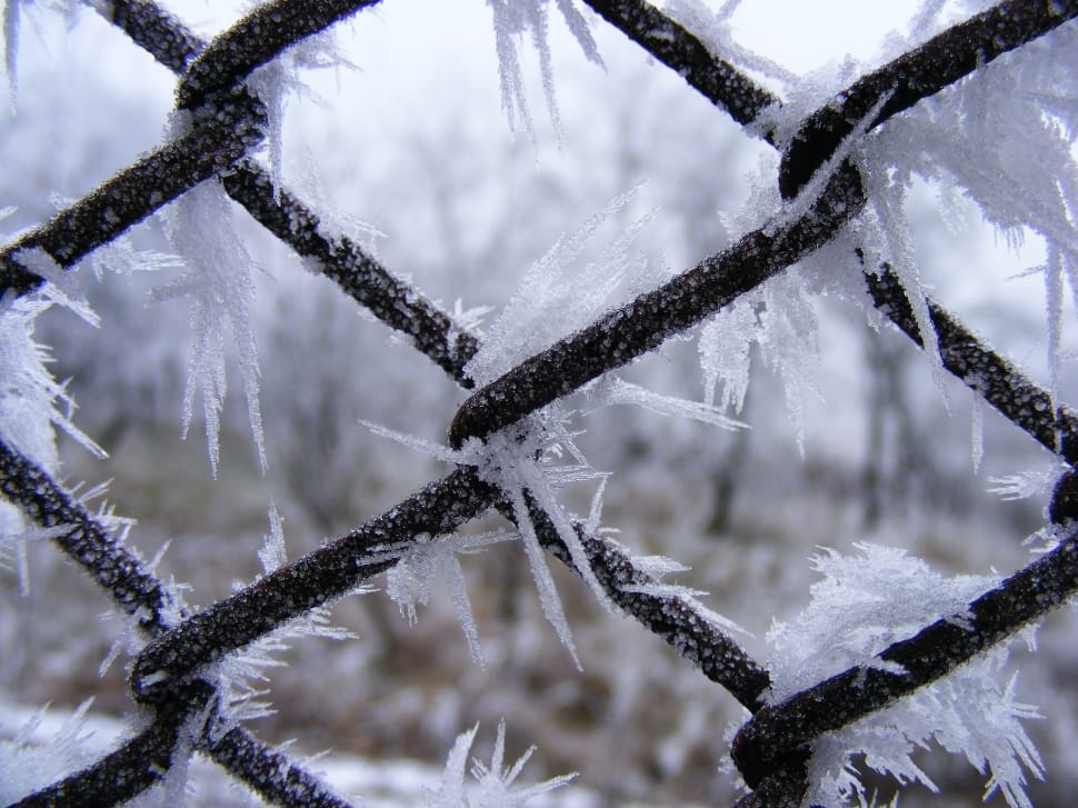 chicken wire with ice photography preview