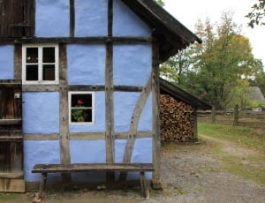 blue and brown house thumbnail