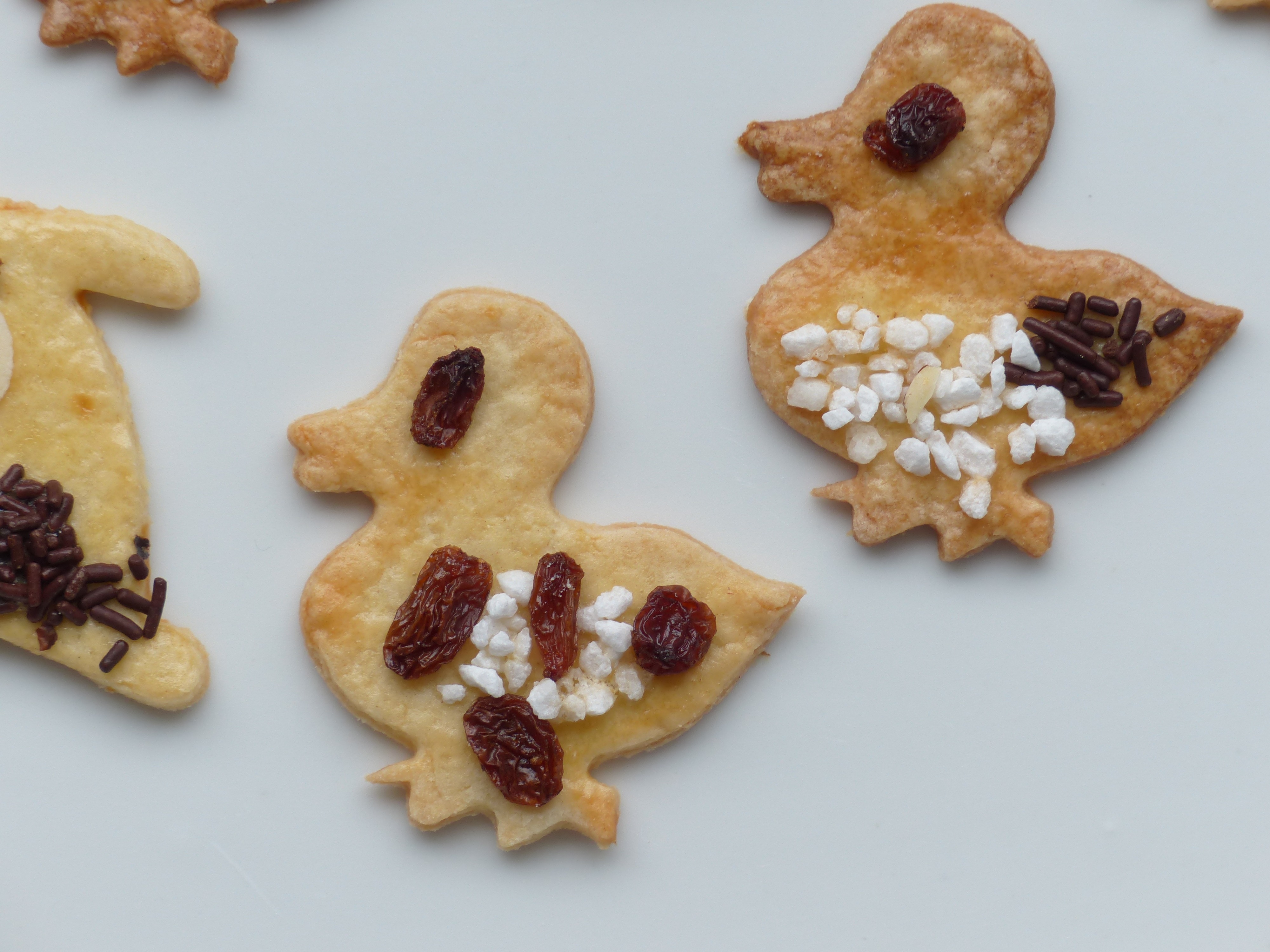 duck shaped cookie with raisins