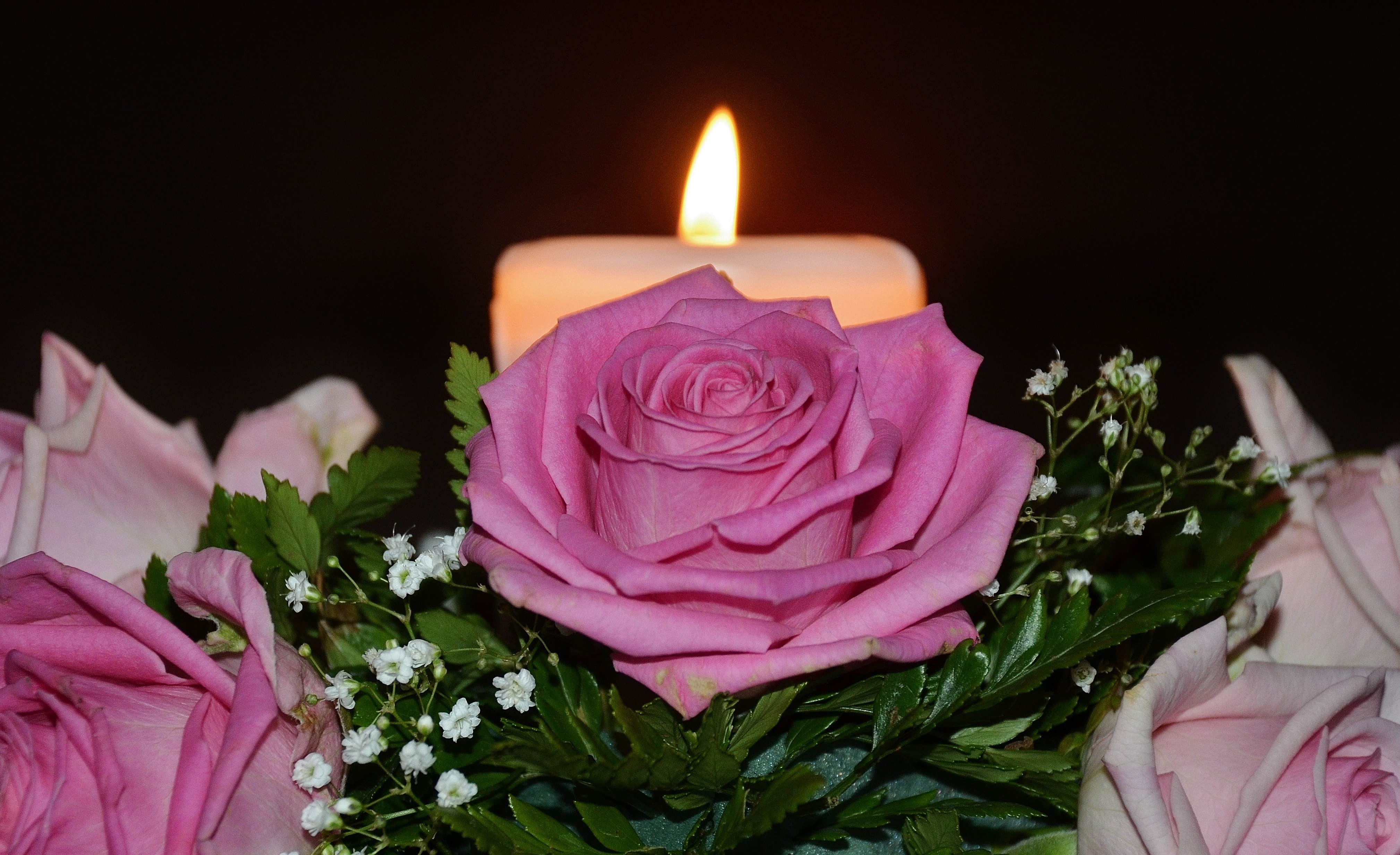 pink rose near white pillar candle