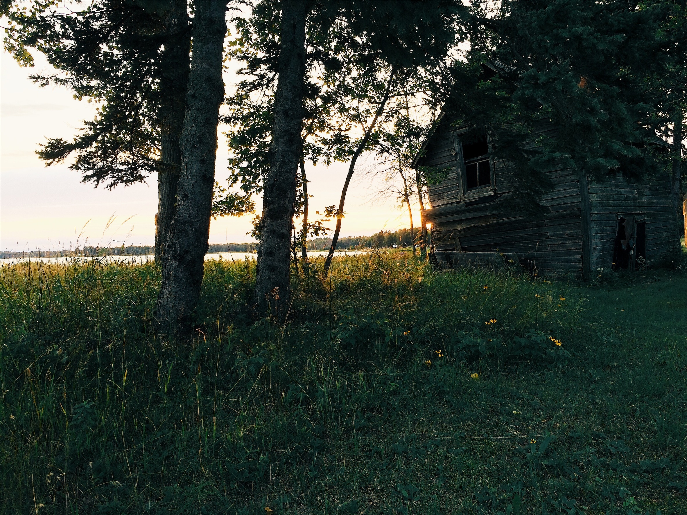 gray wooden cabin