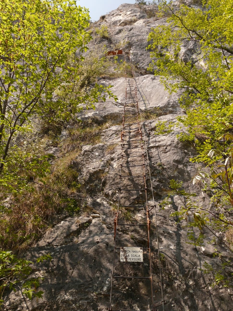 brown wooden ladder in the hiking extreme cliff adventure preview