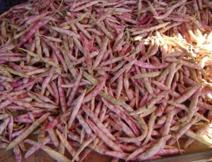pink and brown vegetable lot thumbnail