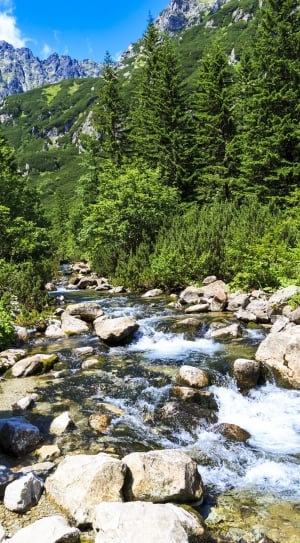 Landscape, Mountains, Rock, Green, Water, forest, nature thumbnail