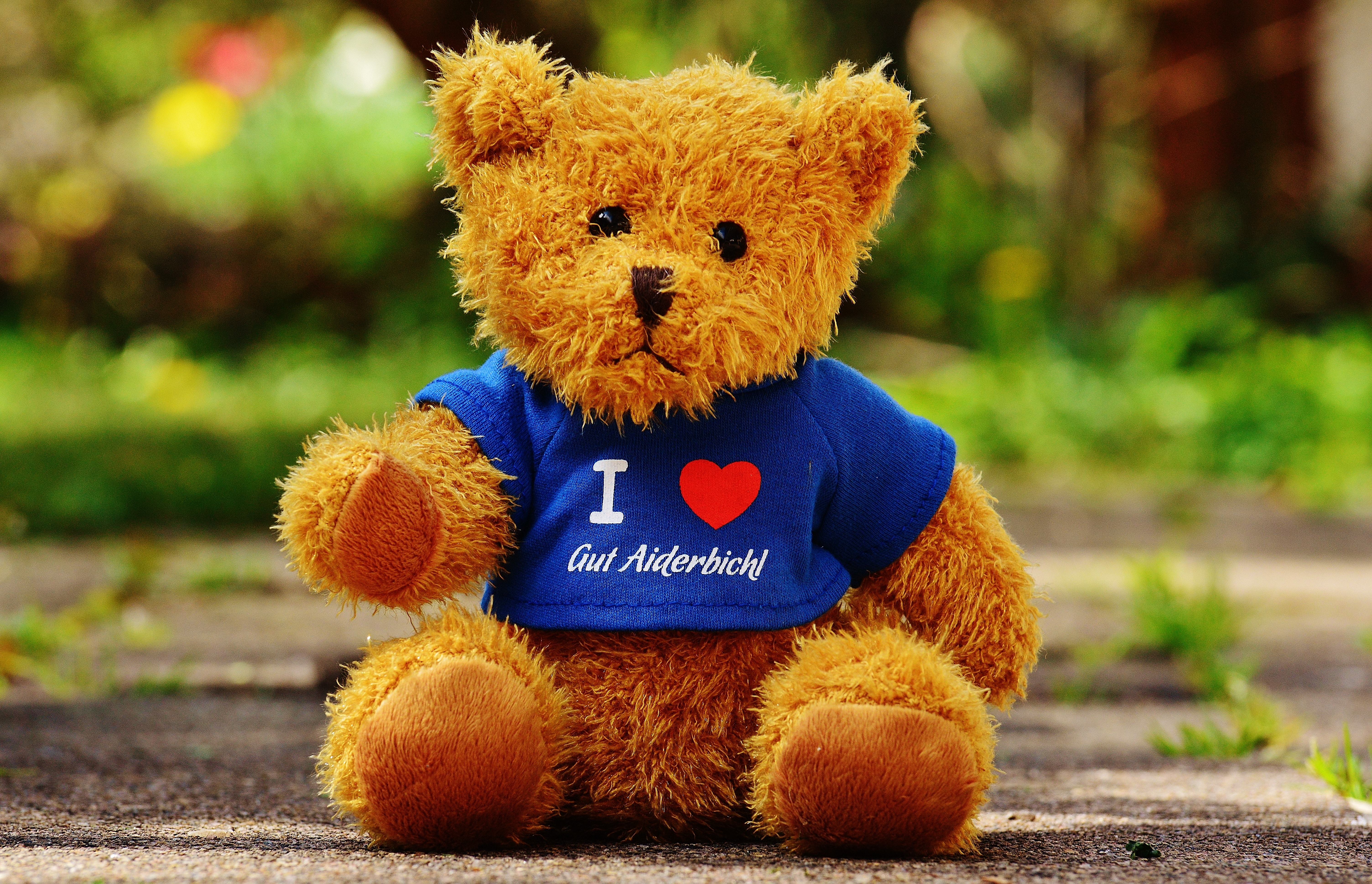 Teddy, Sanctuary, Good Aiderbichl, toy, teddy bear