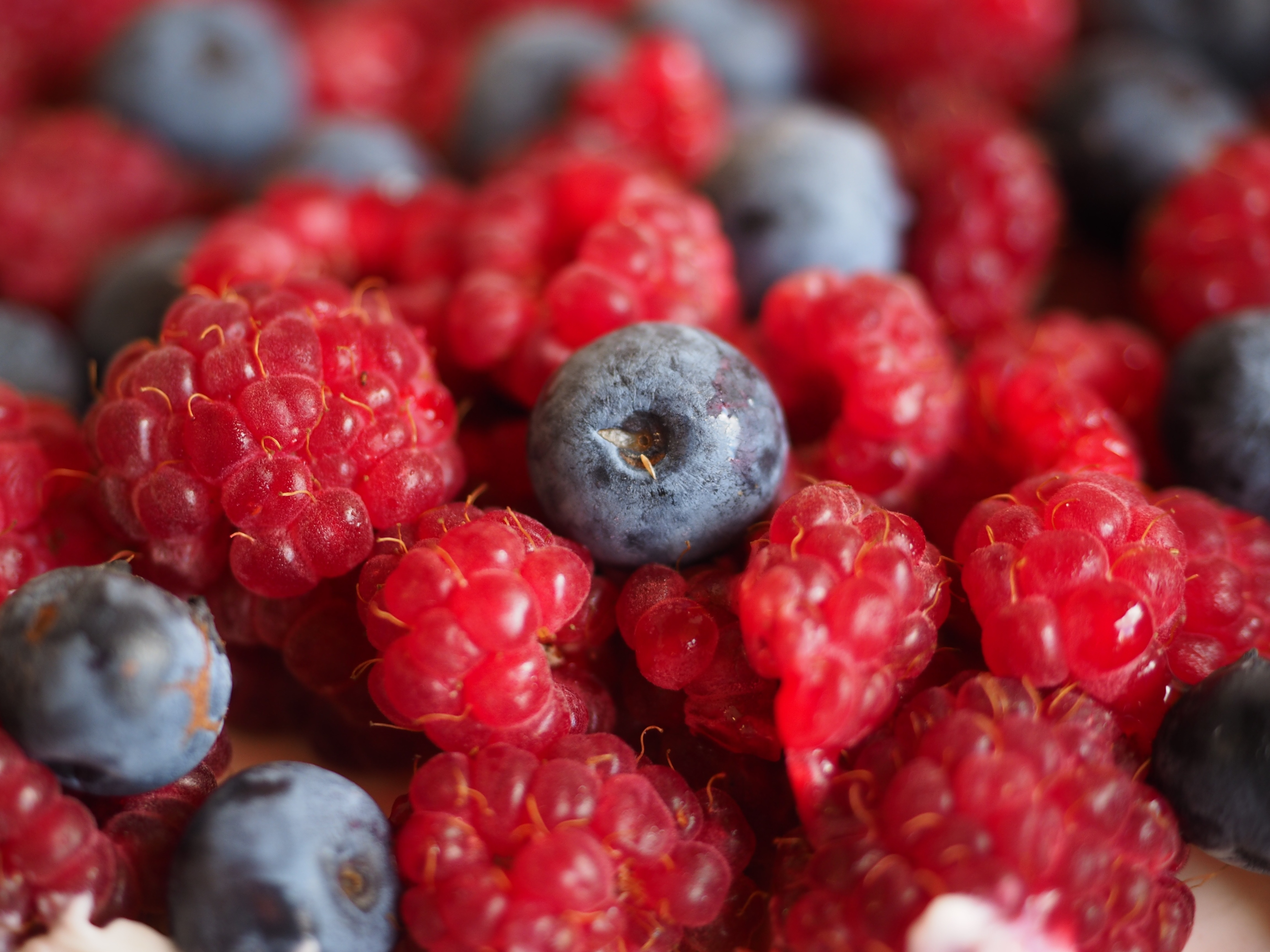 raspberries and blue berries