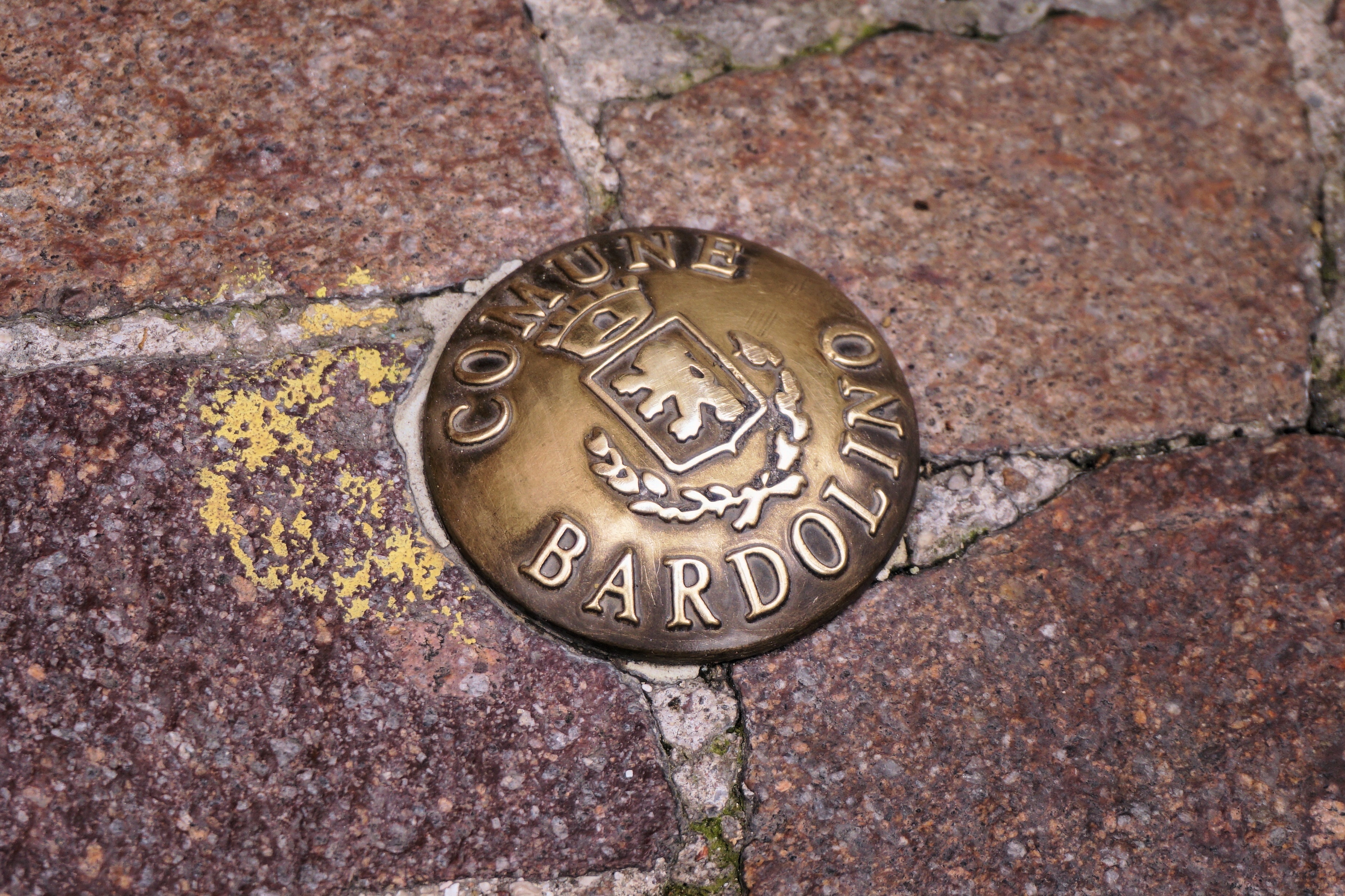 bardolino coin