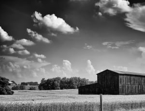 Monochrome, Black And White, Country, cloud - sky, agriculture thumbnail