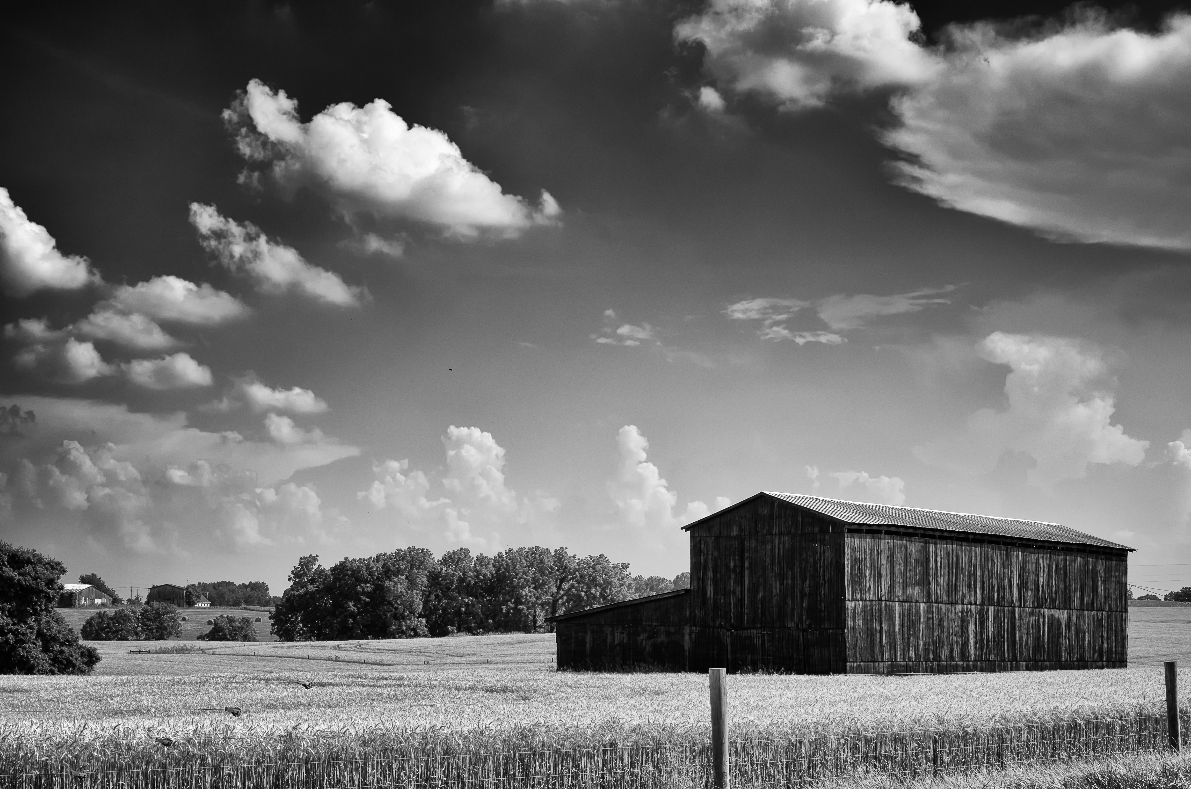 Monochrome, Black And White, Country, cloud - sky, agriculture