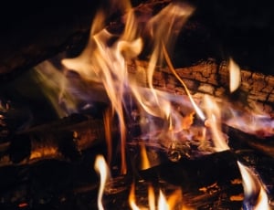 Hot, Heat, Flame, Wood, Fire, Bonfire, flame, heat - temperature thumbnail