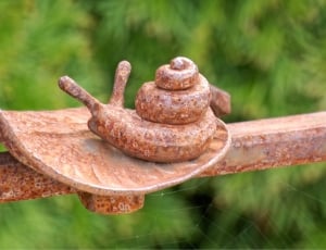 brown snail ceramic decor thumbnail