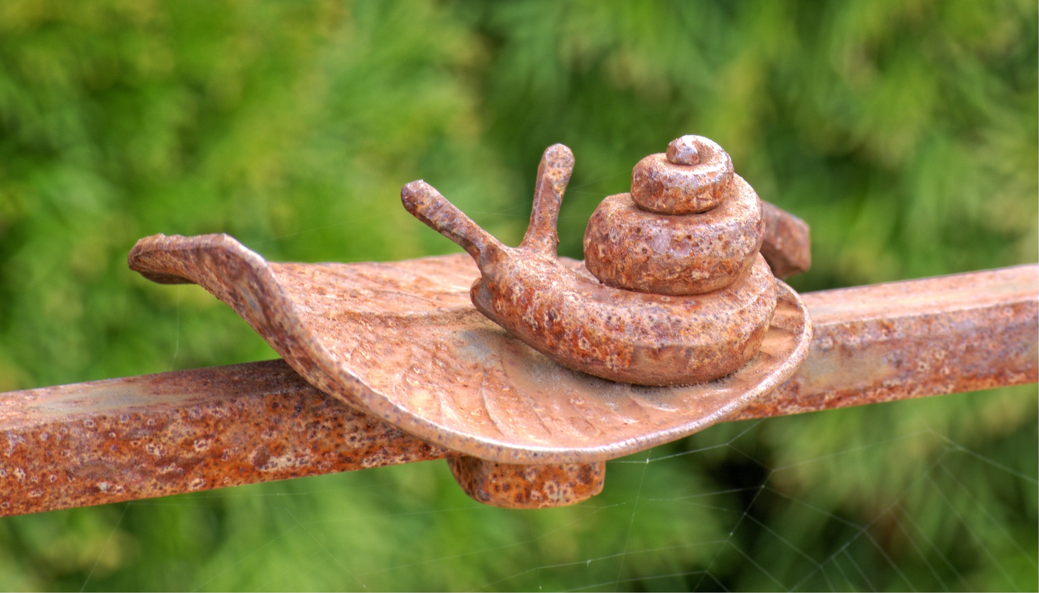brown snail ceramic decor