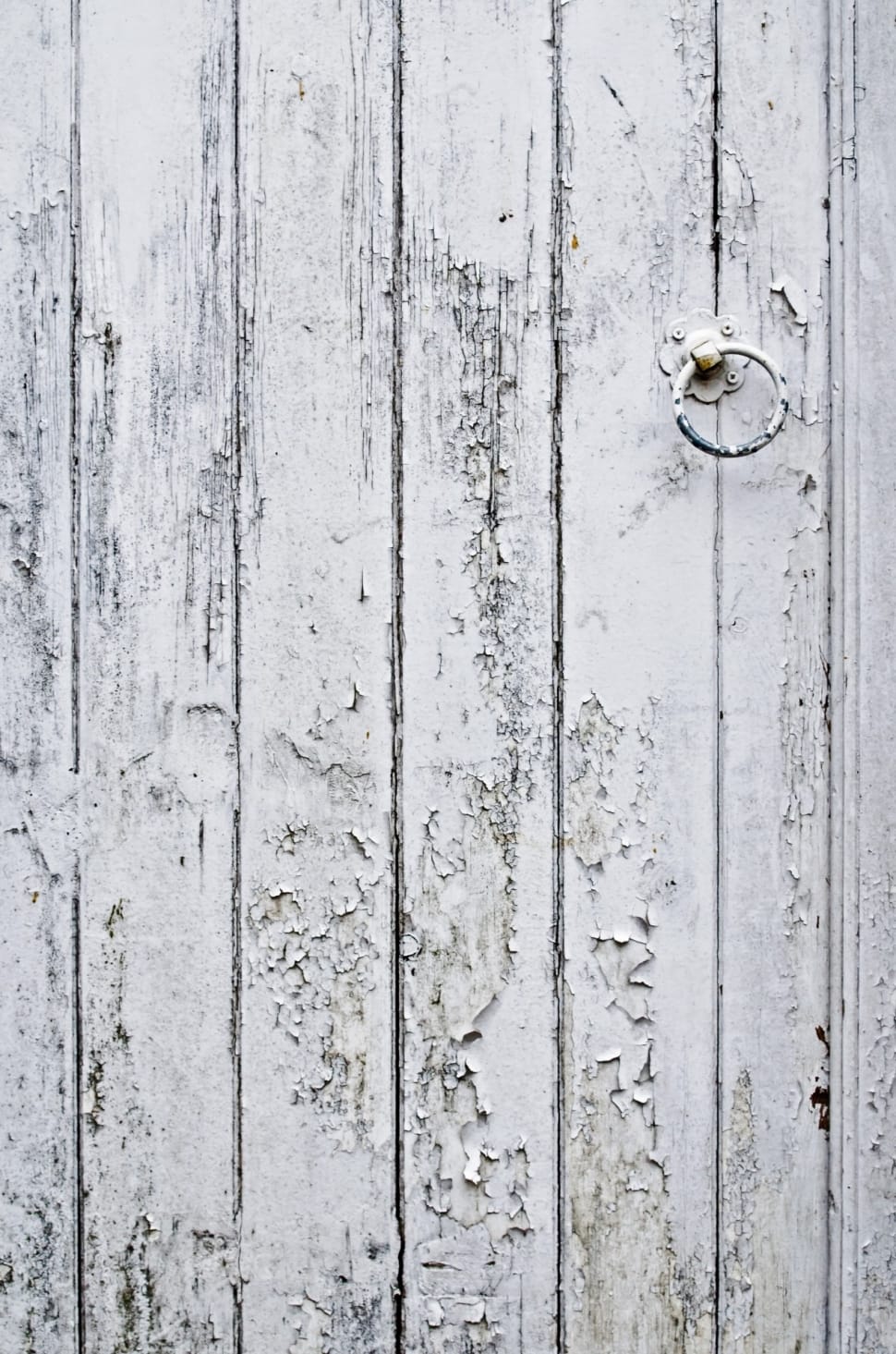 white wooden door preview