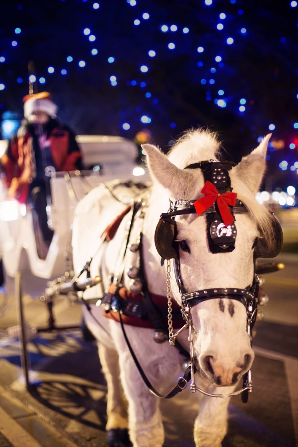 Horse Carriage, Christmas, Horse, Winter, horse, night preview