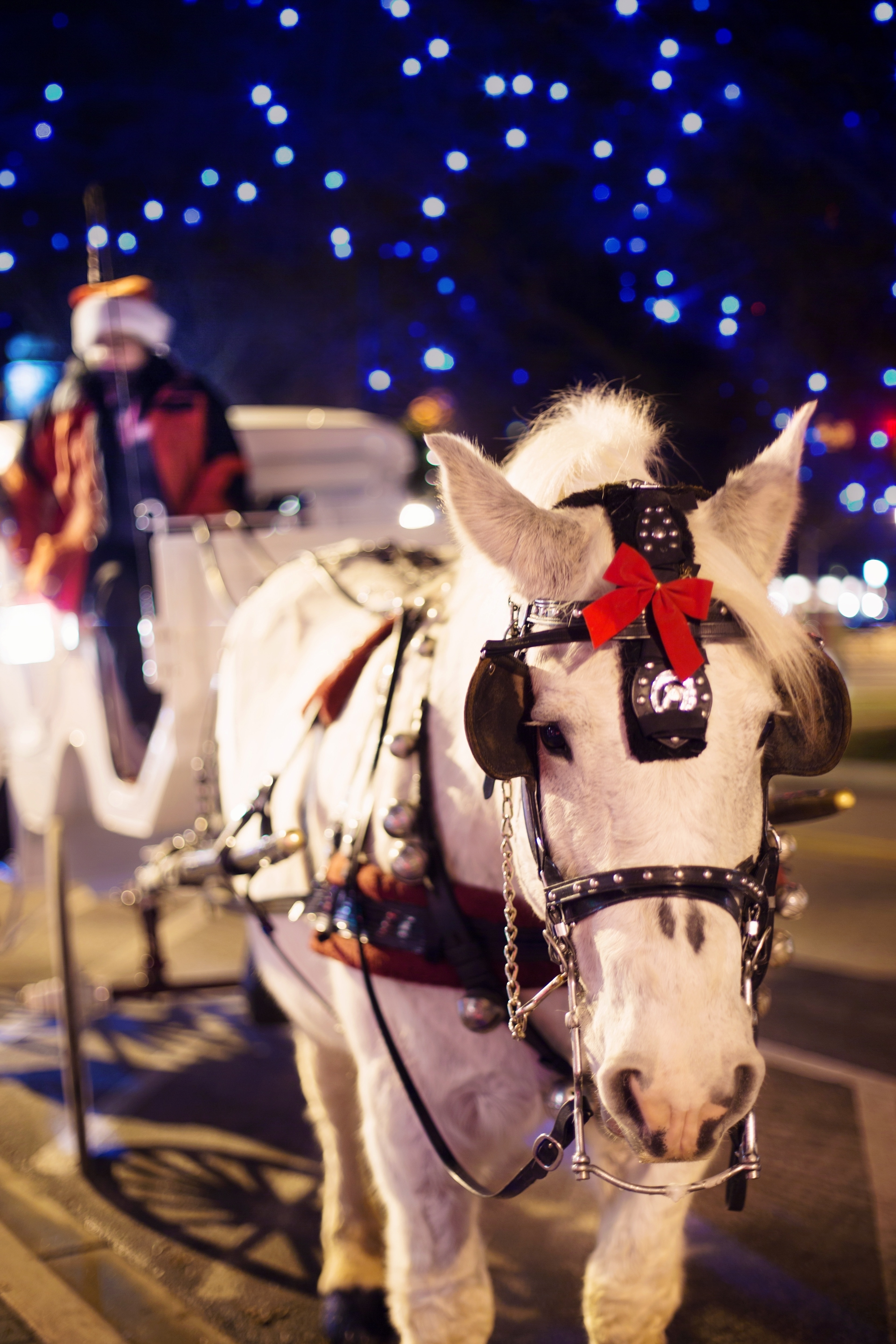 Horse Carriage, Christmas, Horse, Winter, horse, night