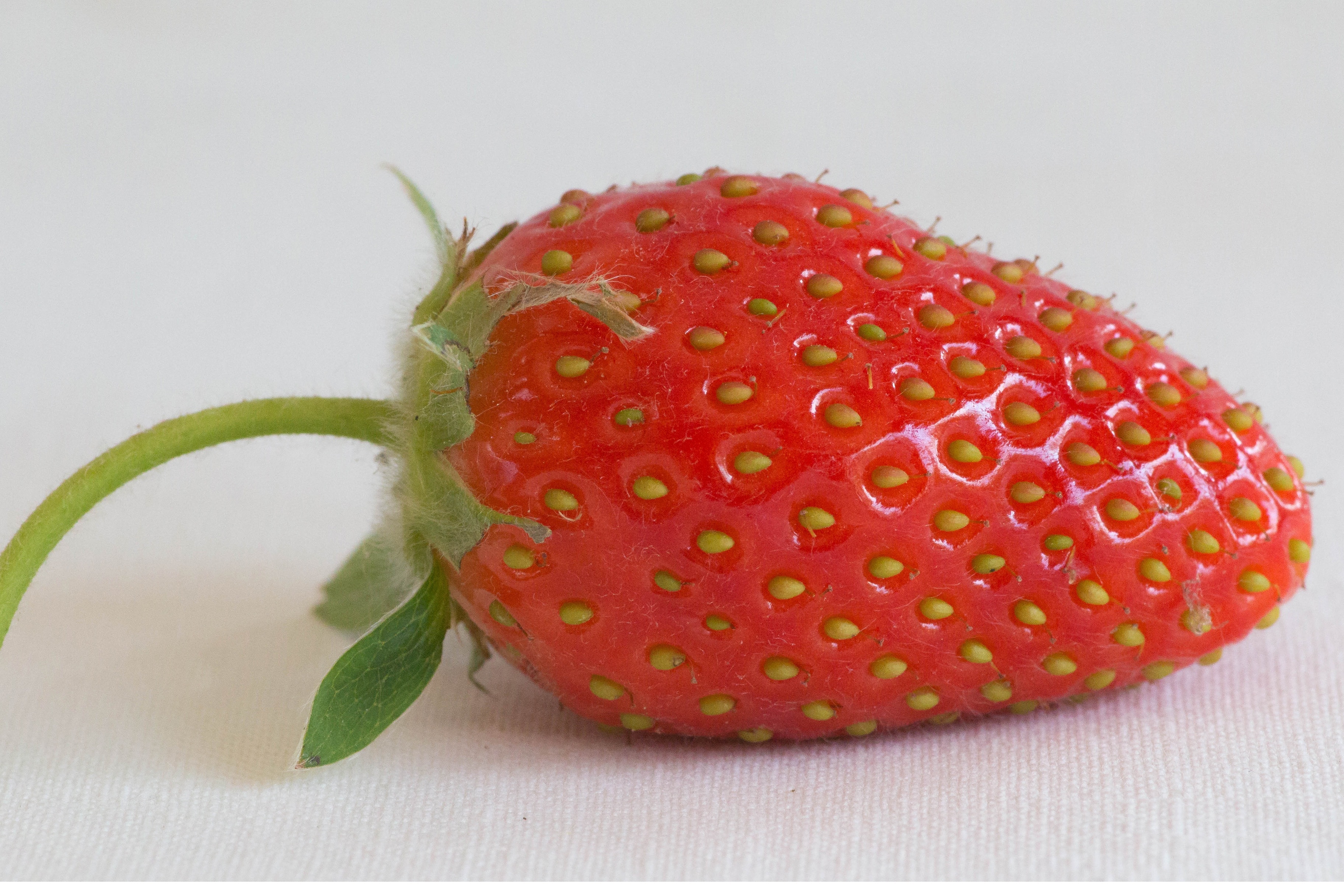 red strawberry