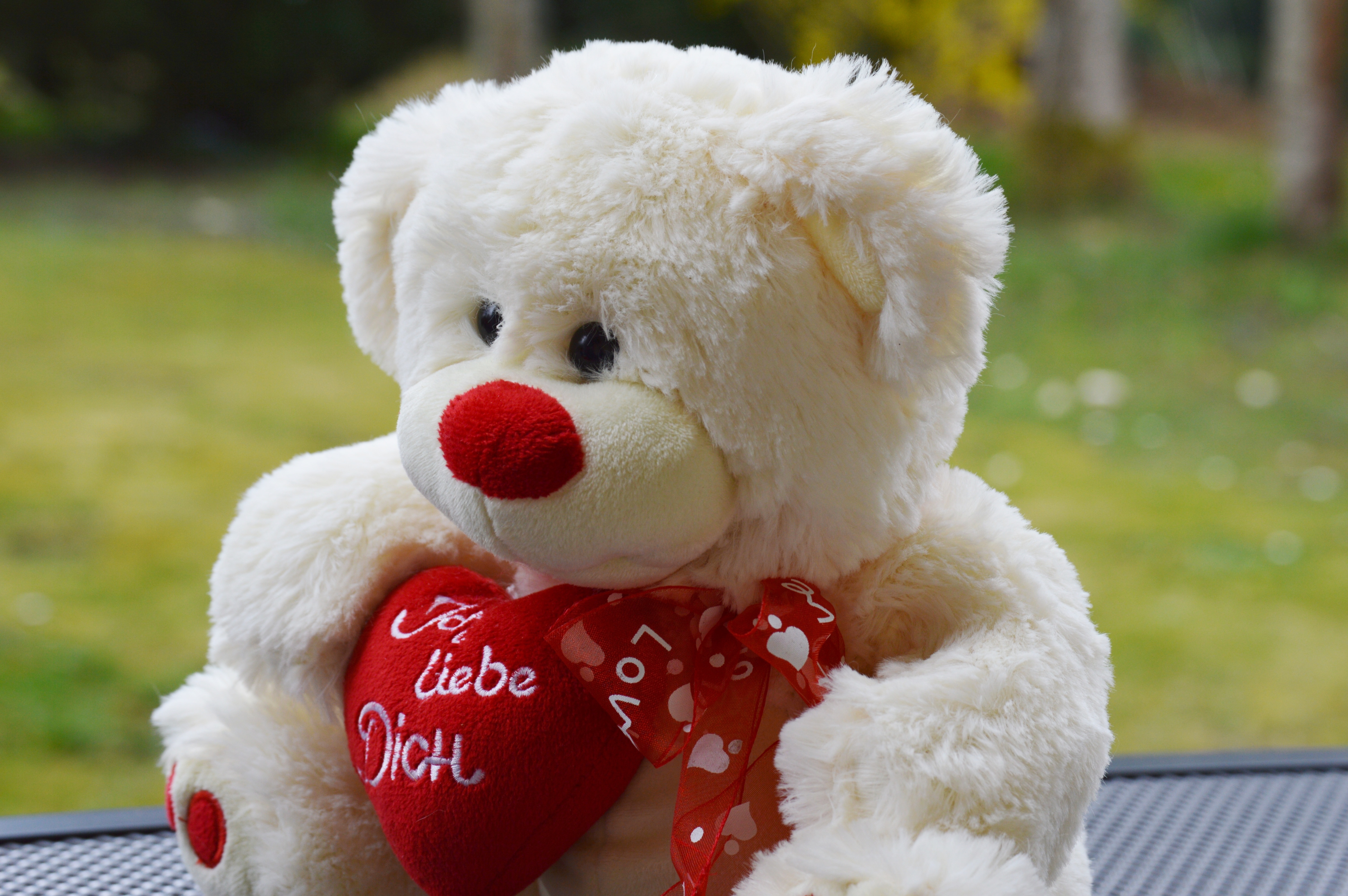 white and red bear plush toy