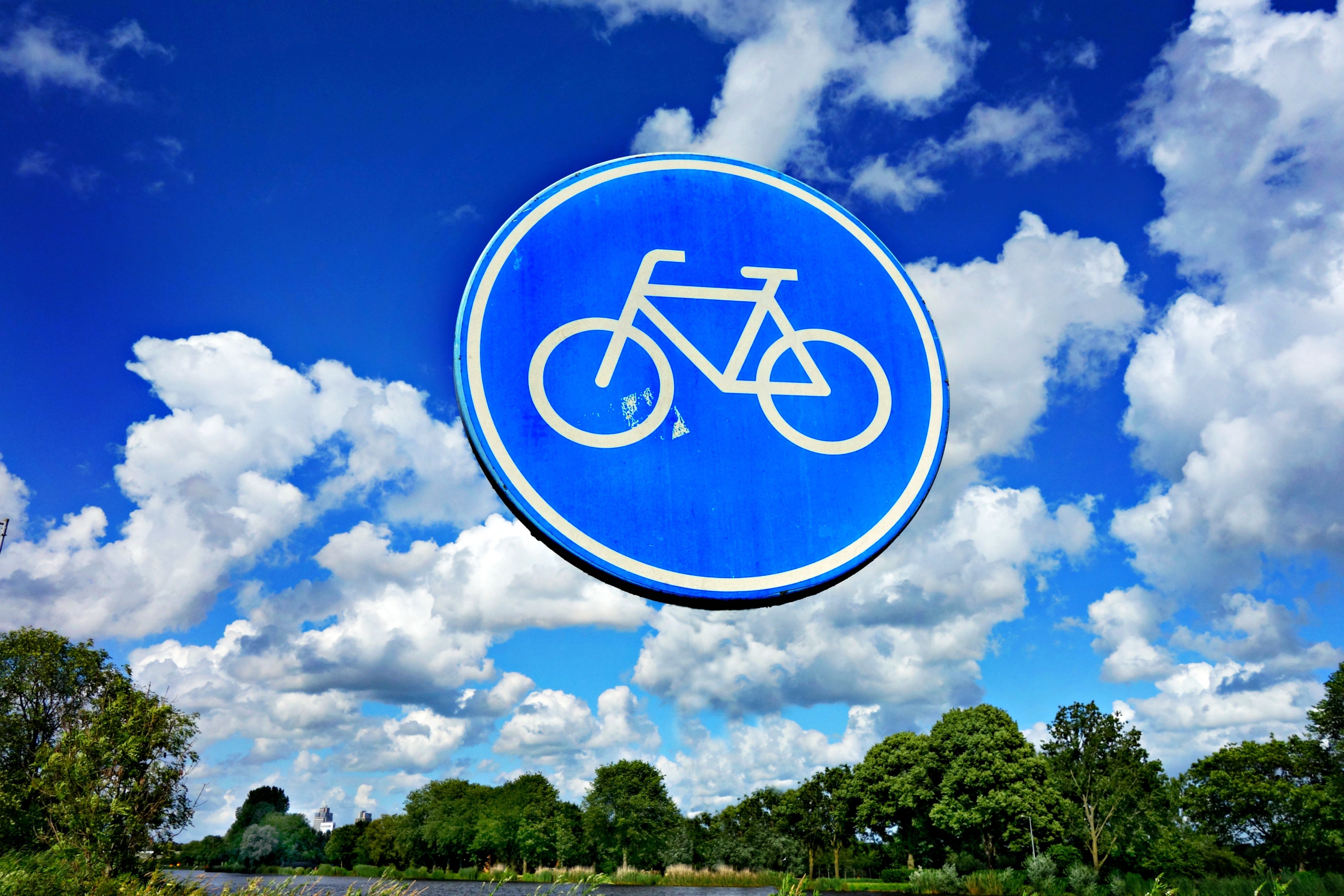 blue and white bicycle signage