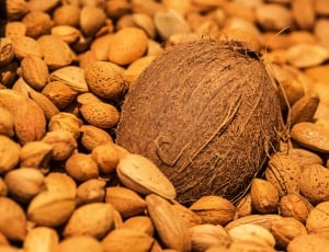 Delicious, Coconut, Brown, Plant, Naik, food and drink, nut - food thumbnail