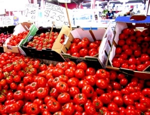 tomato fruits thumbnail