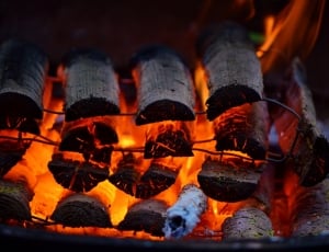 Flame, Wood, Hot, Fire, Embers, Burn, food and drink, cultures thumbnail