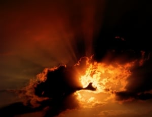 Sunset, Sun, In The Evening, Cloud, Fire, heat - temperature, danger thumbnail