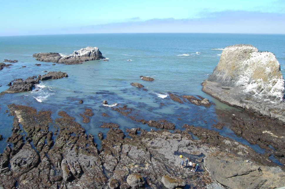 Ocean, Oregon, Seascape, Sea, Pacific, sea, rock - object preview