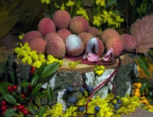 Lychee, Fruits, Berries, Flowers, day, flower thumbnail