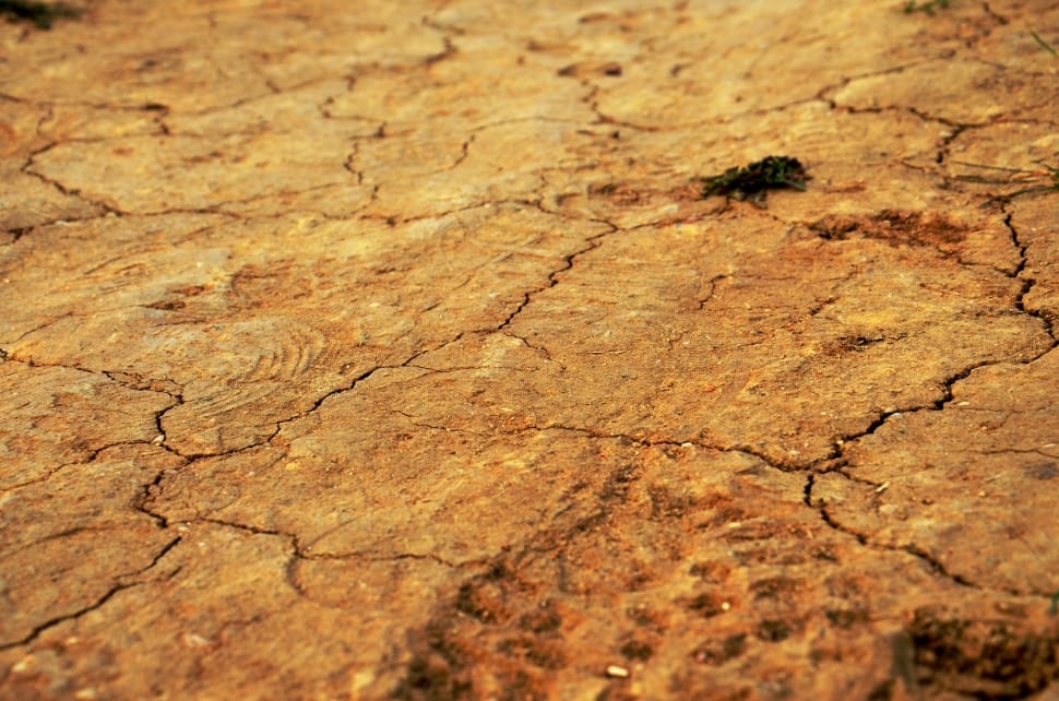 close up photography of dried soil preview