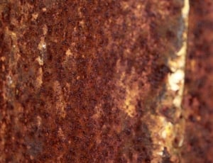 Rusted, Stainless, Metal, Deposit, rusty, textured thumbnail