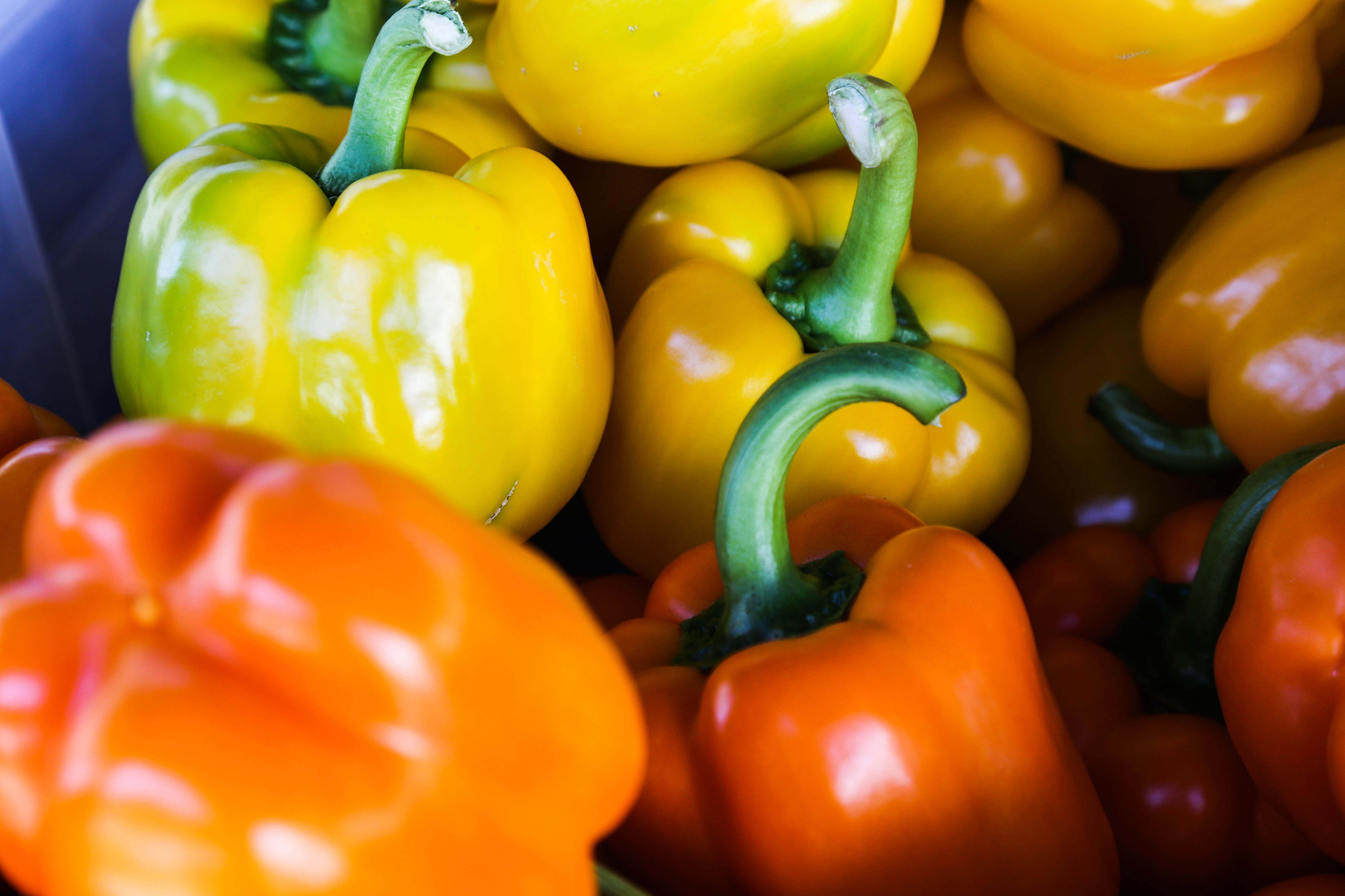 close up view of bell peppers