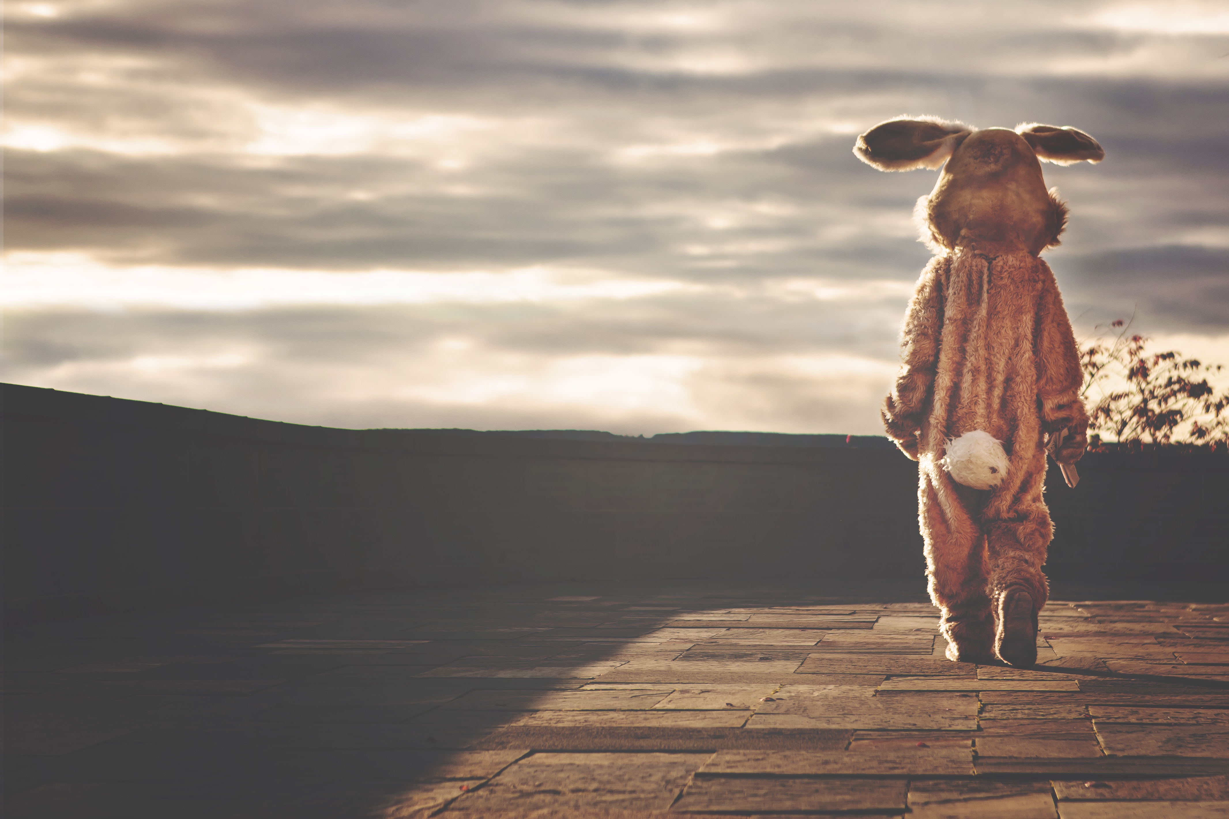 3840x2160 wallpaper | brown bunny costume | Peakpx