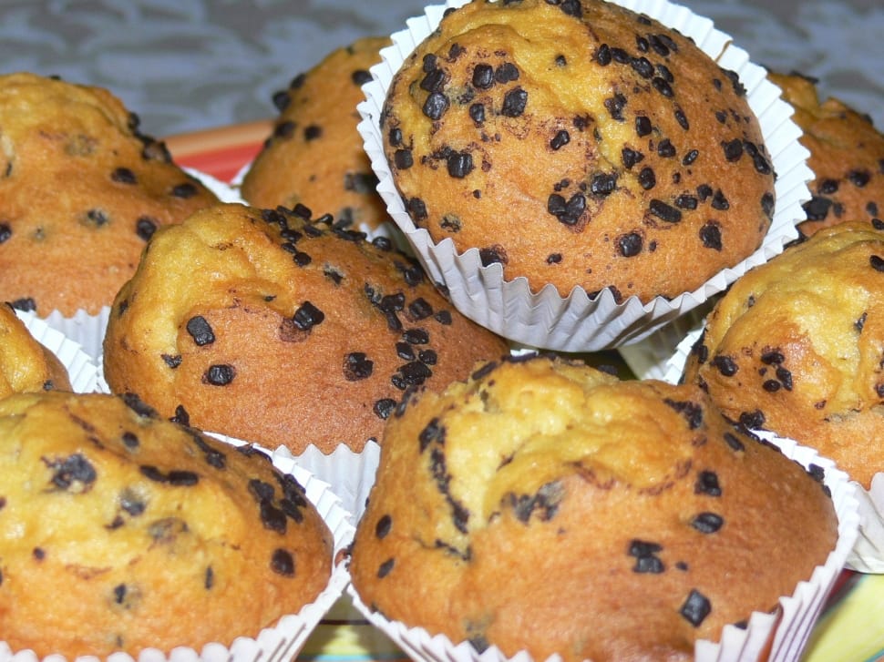cupcakes on plate preview