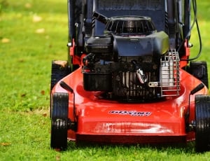 black and red push lawn mower thumbnail