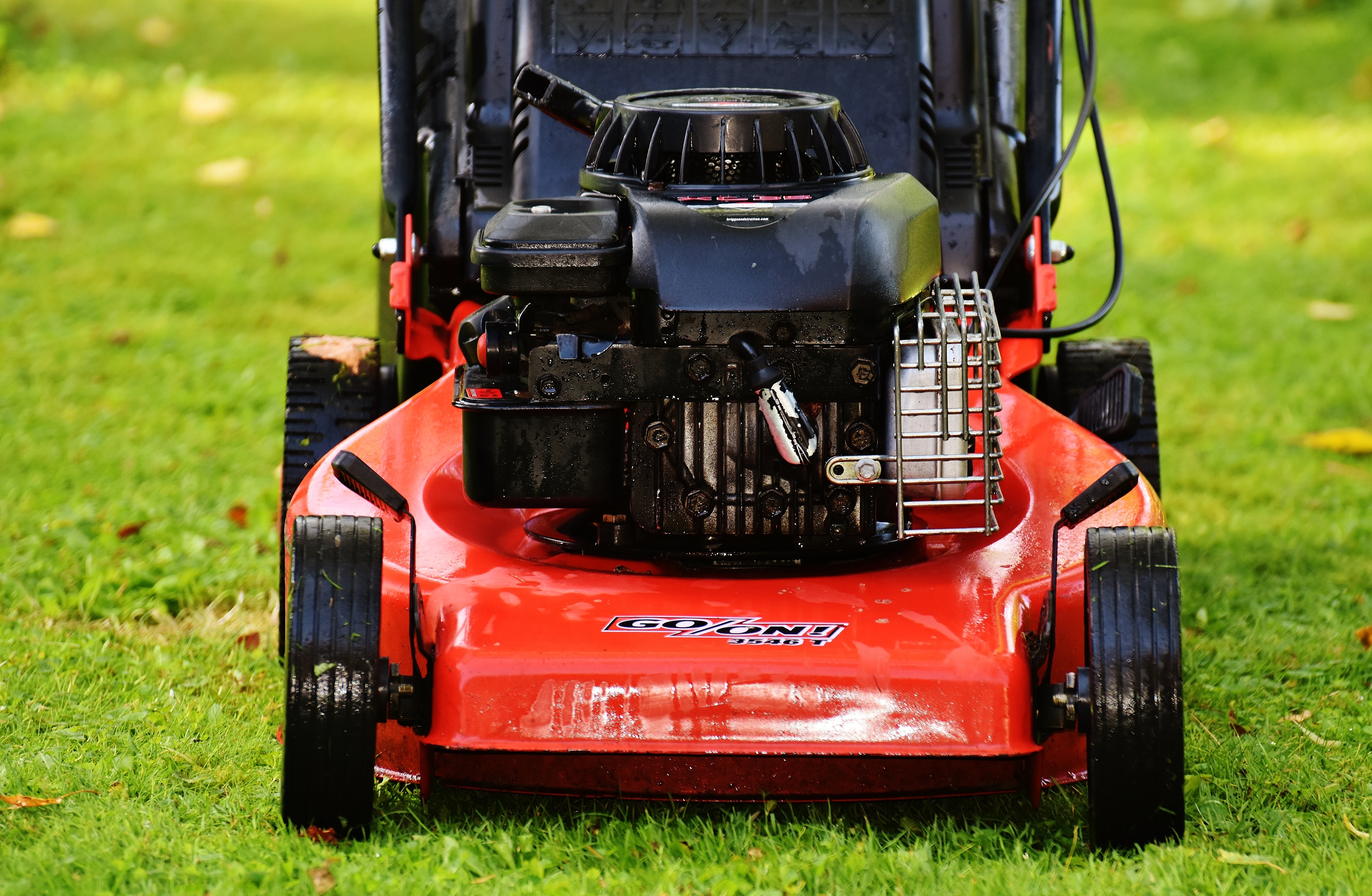 black and red push lawn mower