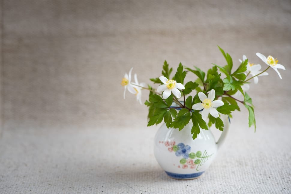 white petaled flowers and white ceramic vase preview