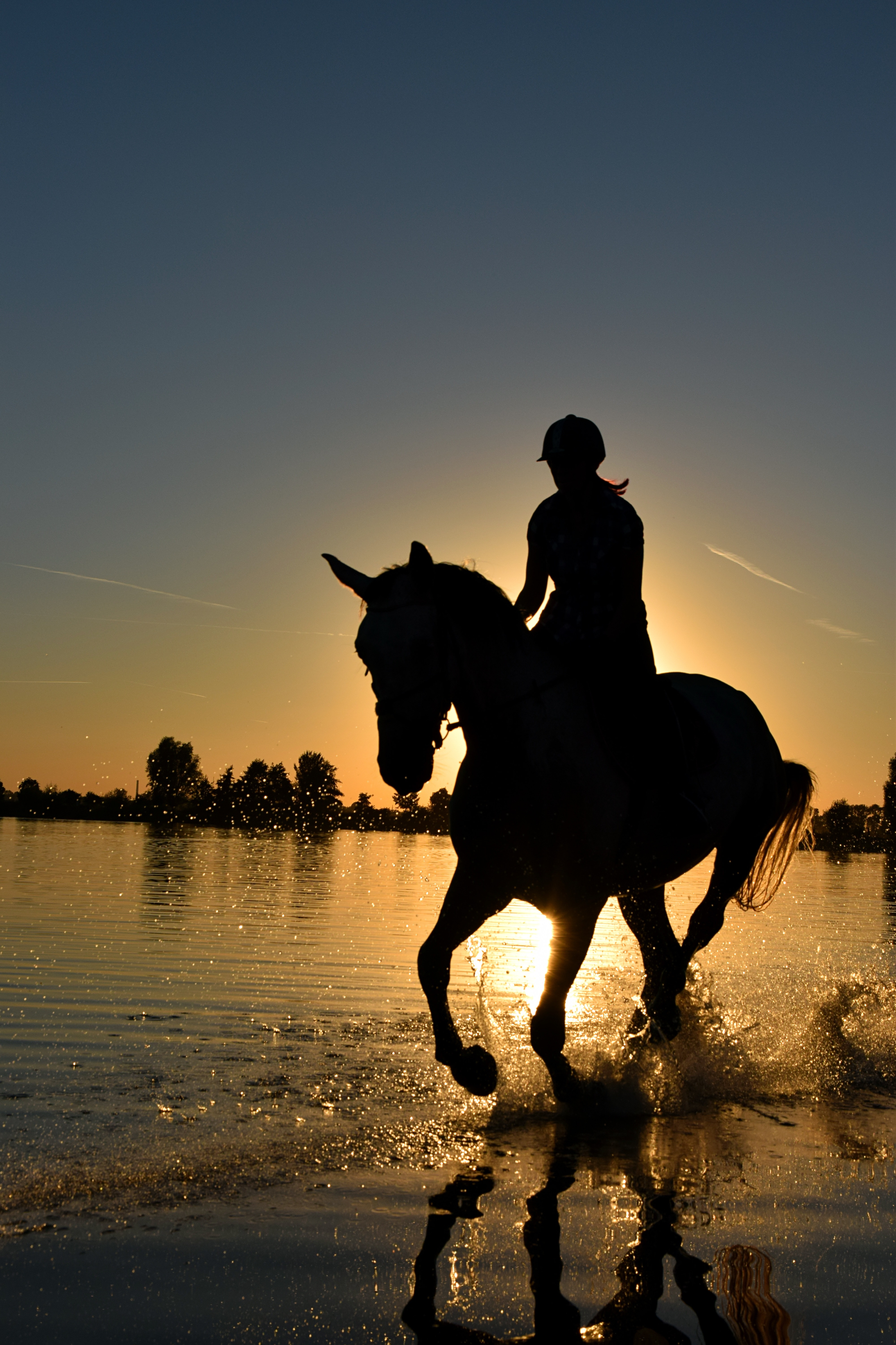 silhouette of rider and horse