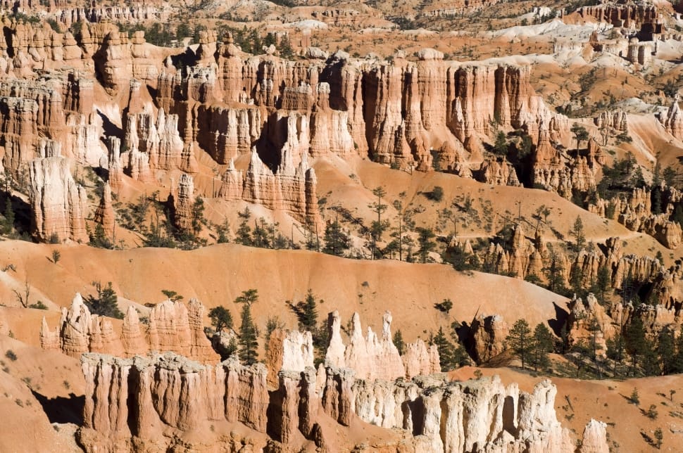 bryce canyon national park photo preview
