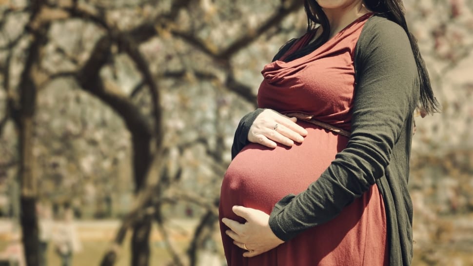pregnant woman wearing brown jacket and red dress preview