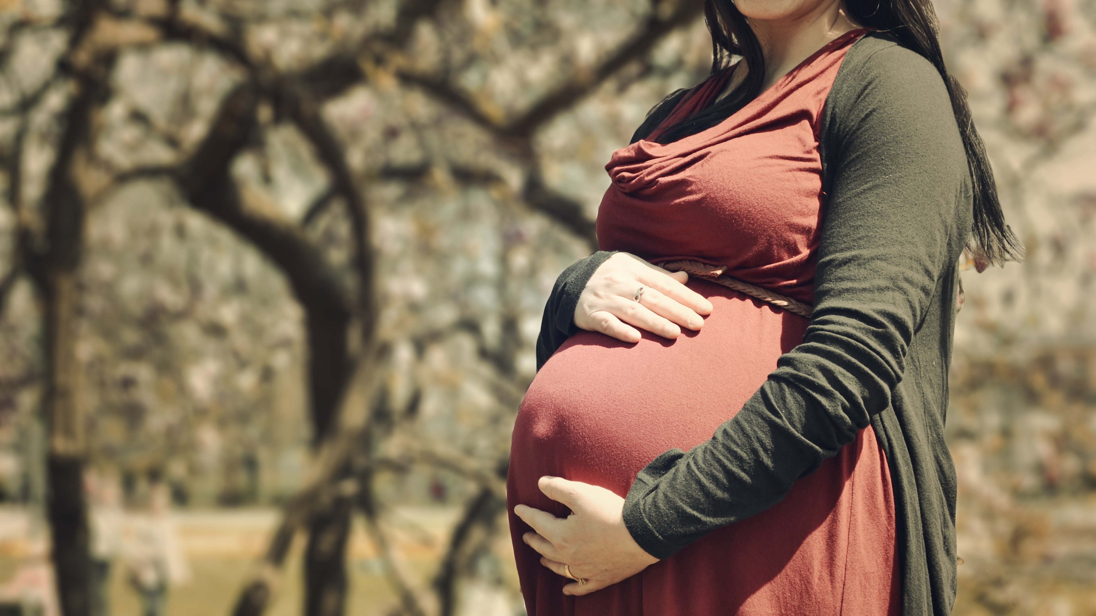 pregnant woman wearing brown jacket and red dress