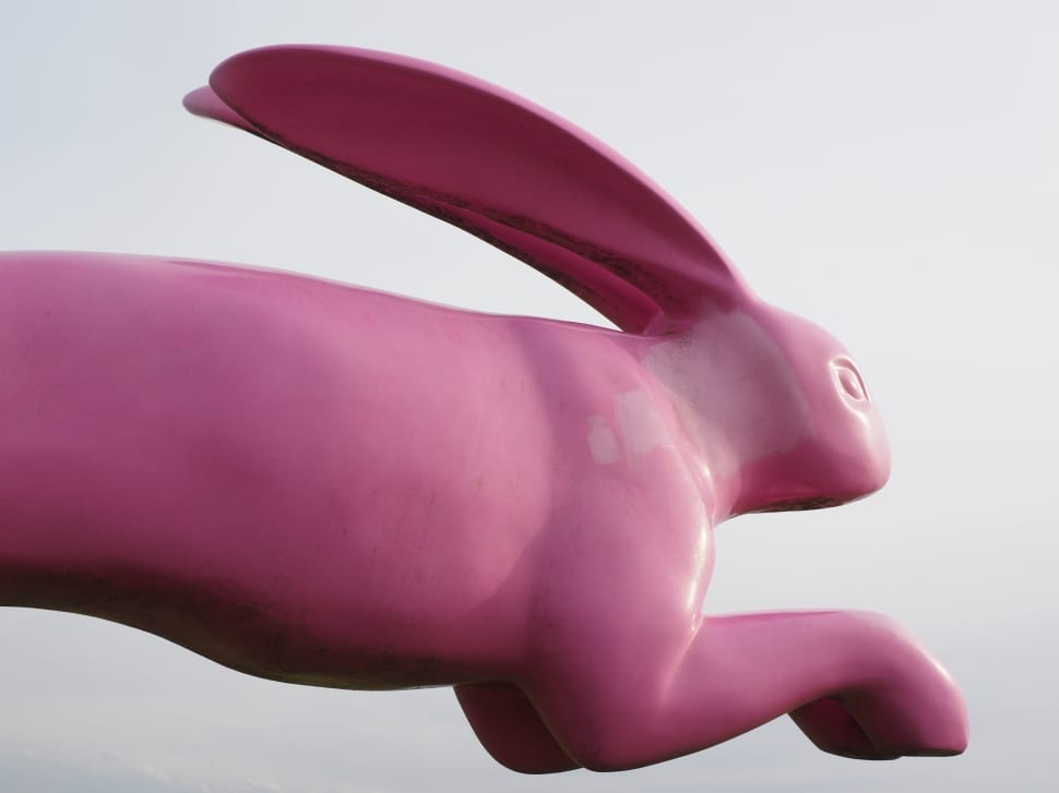Jump, Running Away, Hare, Bunny Jump, pink color, piggy bank preview