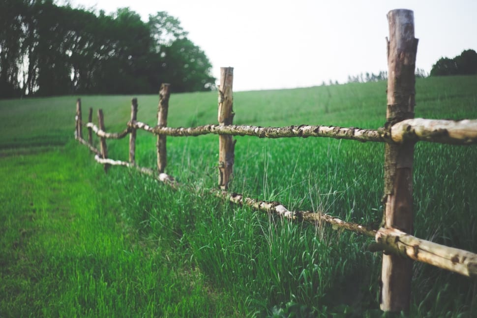 Green, Farm, Field, Fence, Country, protection, barbed wire preview